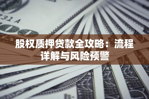 武汉股权质押贷款全攻略：流程详解与风险预警