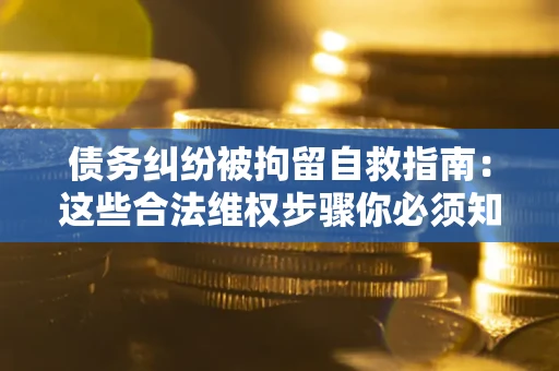 武汉债务纠纷被拘留自救指南：这些合法维权步骤你必须知道！