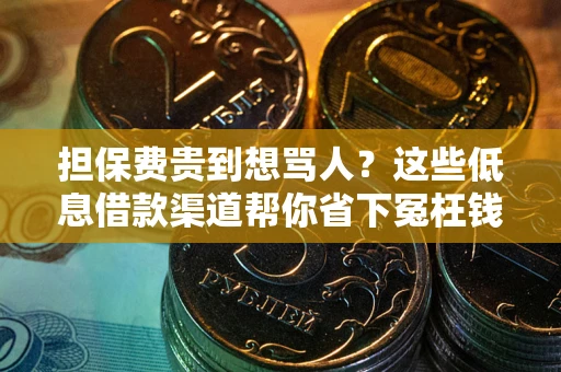 武汉担保费贵到想骂人？这些低息借款渠道帮你省下冤枉钱