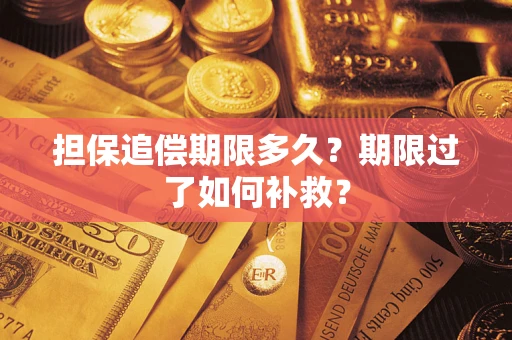 武汉担保追偿期限多久？期限过了如何补救？