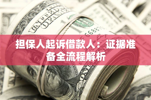武汉担保人起诉借款人：证据准备全流程解析