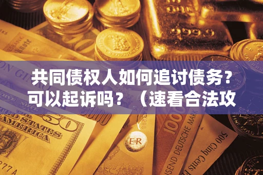武汉共同债权人如何追讨债务？可以起诉吗？（速看合法攻略）