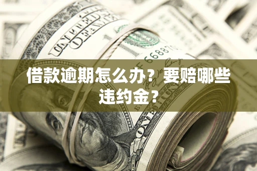 武汉借款逾期怎么办？要赔哪些违约金？